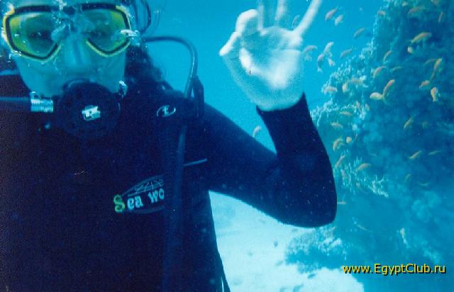 ����� (������ ����������)