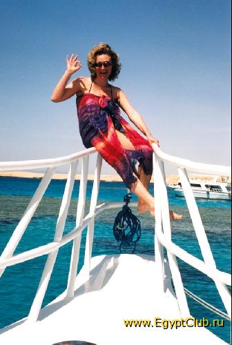 ������ ���������� � �������� �����