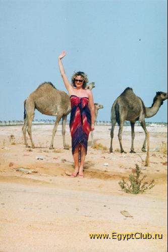 ������� �������...