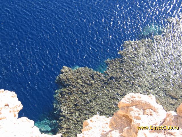 ����������. �����