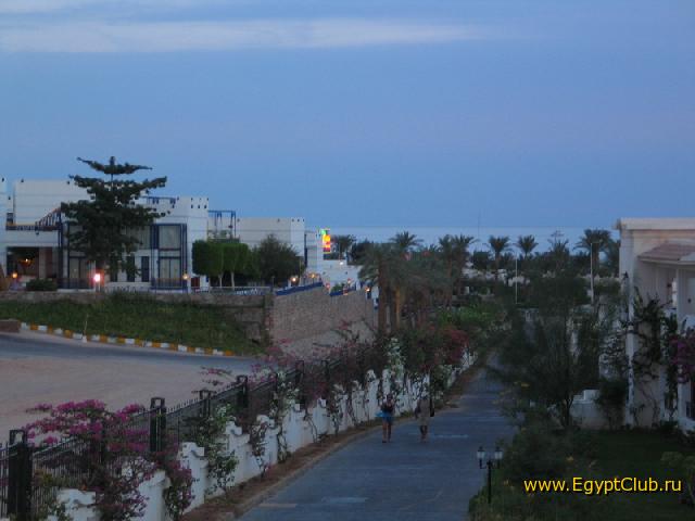 ������ ����� ���