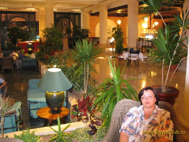 ������ ����� ����