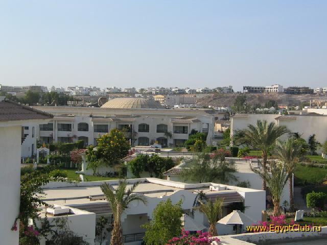 ������ ����� ����