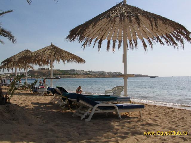 ���� �������� � �����