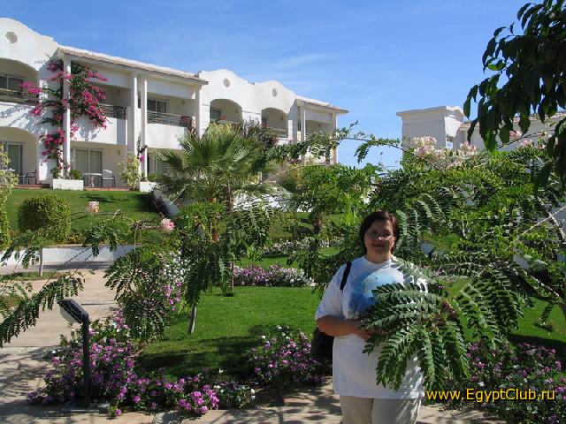 ������ ����� ����