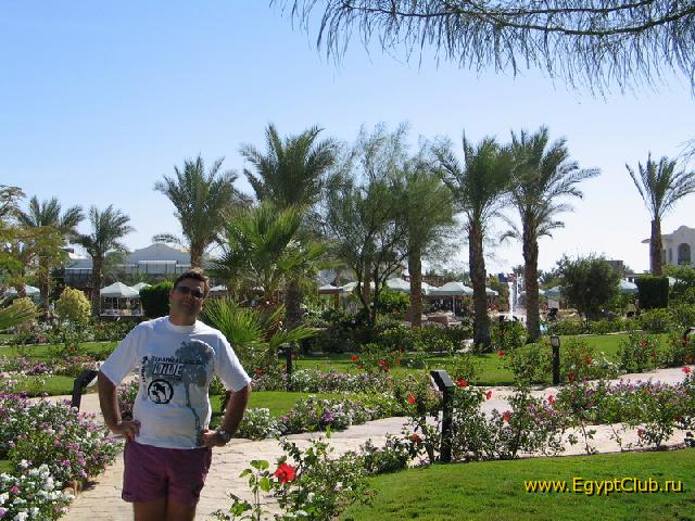 ������ ����� ����