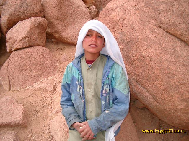 ��������-���������