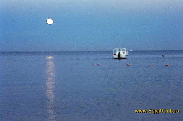 ������ �������