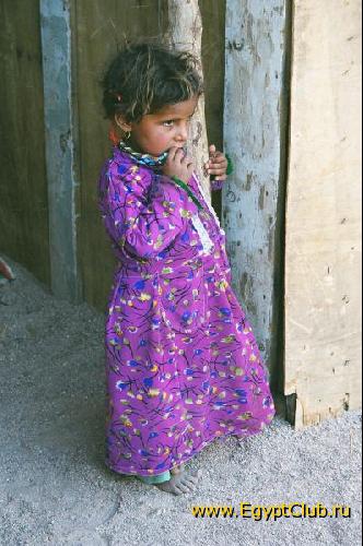 ���� �������