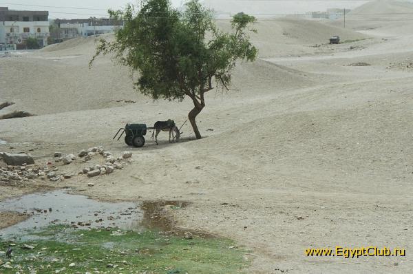 �� ���� � ���....