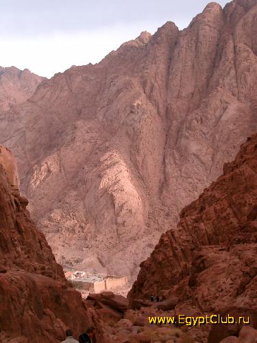 ���� - ��������� ������ ���������