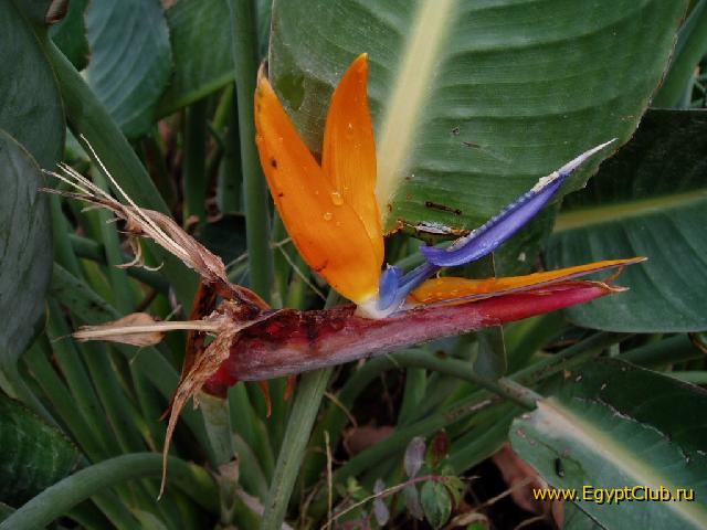 ������ � �����