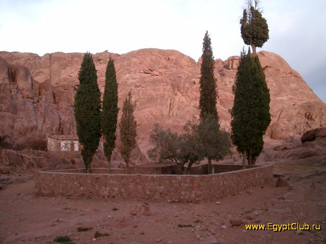 ����� �� ���� � ���� ������