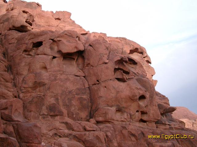 ��������� �����