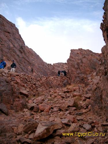 �������� ������