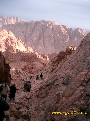 ���������� ����