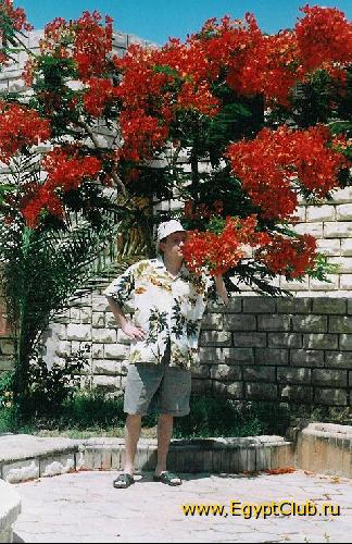 �������, �������