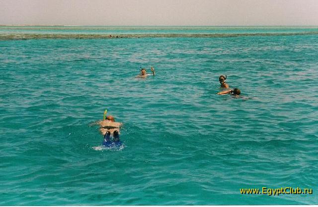 �������, ���������� ����