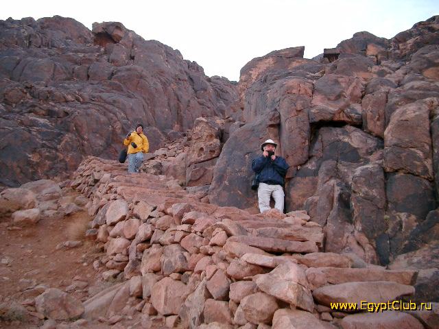 ��������� �������