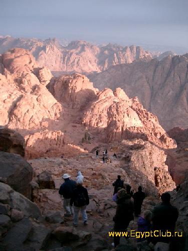 ���� ���