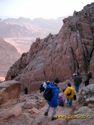 ���� �� ������