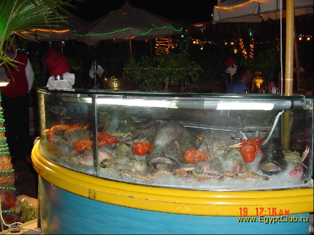 ���� ������ ������ � ���