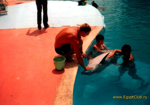 � ����������� ����, ��� �������� Aida Hotel