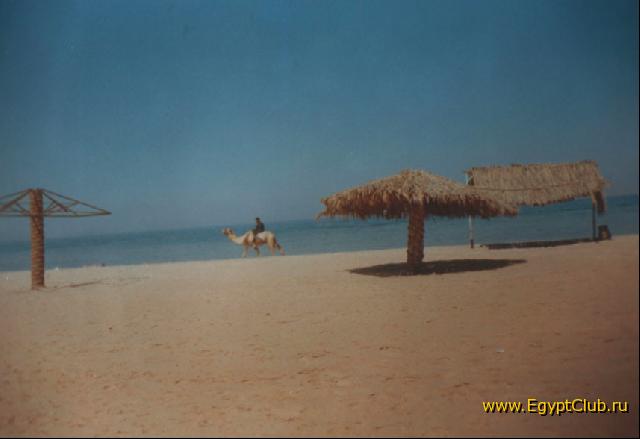 ����� � �������