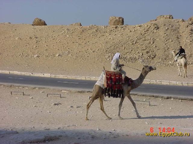 ������ ����� �������2