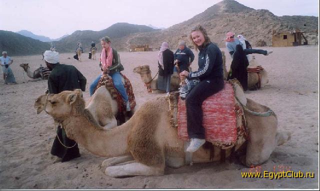 ��������� �������