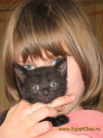 ��� �������