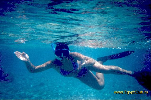 ���������� �������