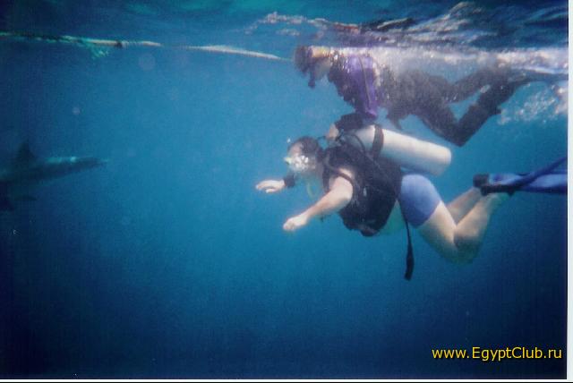 � ������ �� ���������