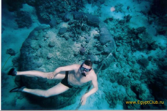 � �������, � �������