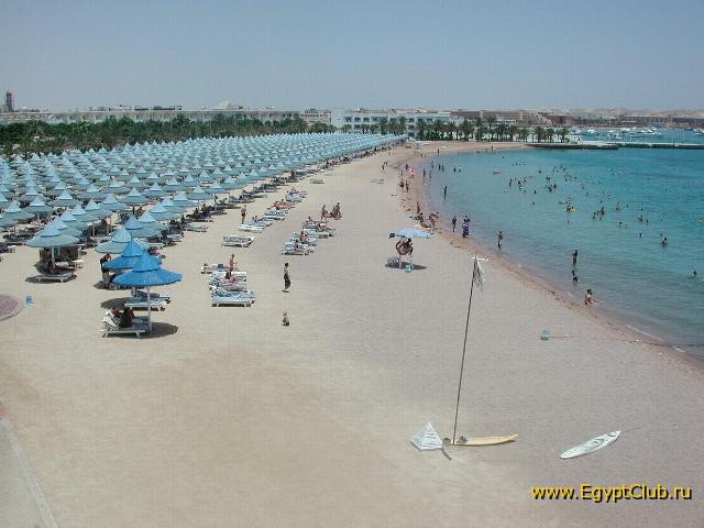 ���� ����� �����