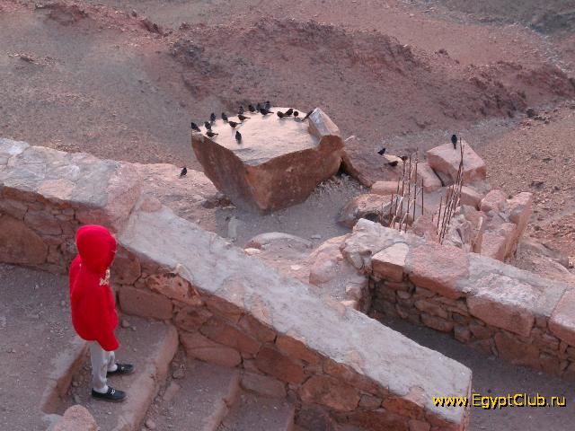 ��� ������