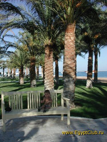 ����� �����