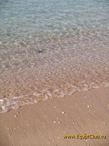 �����,  ����...