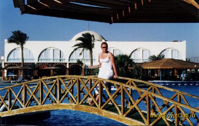 ��� �� ������ ����� DESERT ROSE �� ������� ��������