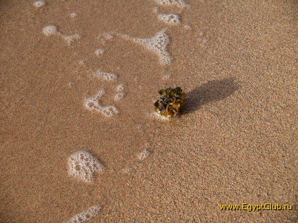 ������ ����� ���������...