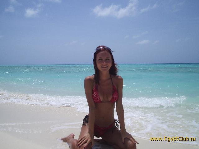 ����� �����