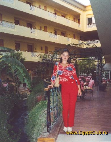 � ����� ������ ���