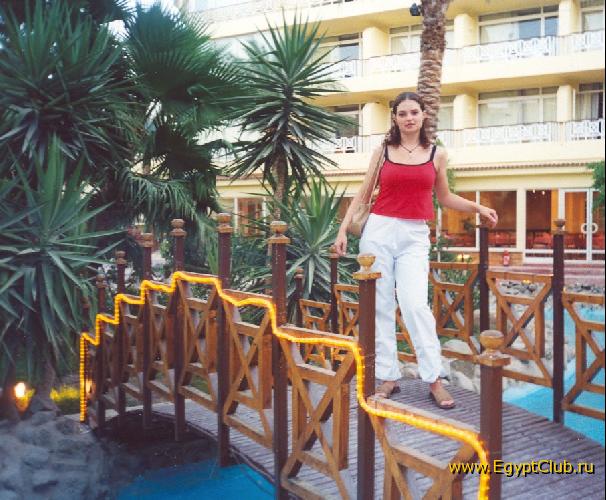 �� ������� ����� ������ ���