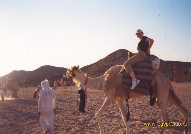 ������� :-)