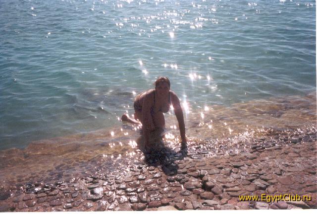 � ������� ����)