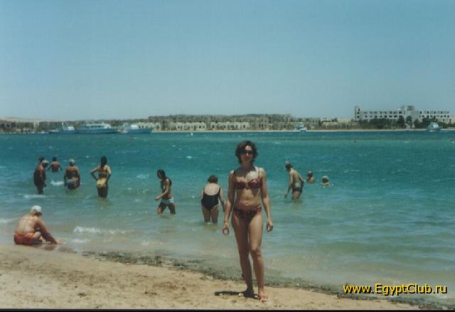 ��������� ������ �����