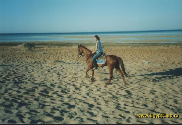 ������� � ������