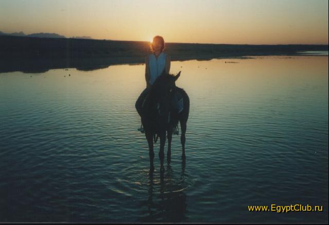 ������� � ������