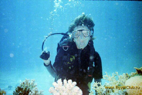 ��� �������