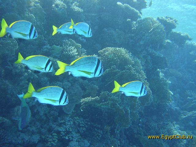 ������ ����!